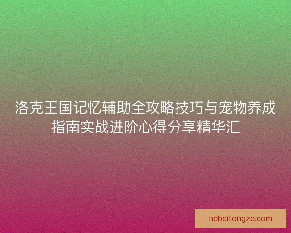 洛克王国记忆辅助全攻略技巧与宠物养成指南实战进阶心得分享精华汇