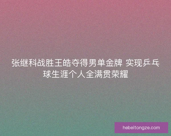张继科战胜王皓夺得男单金牌 实现乒乓球生涯个人全满贯荣耀